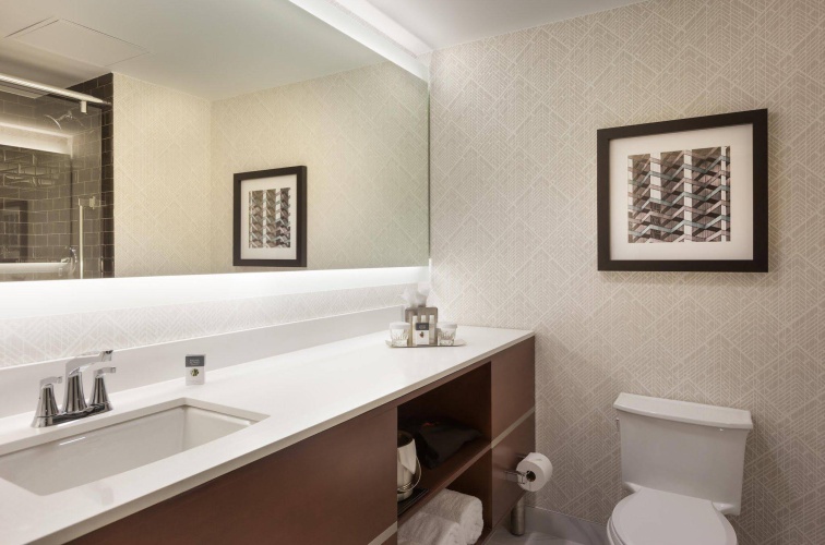 DoubleTree by Hilton Hotel & Suites Houston by the Galleria photo 15