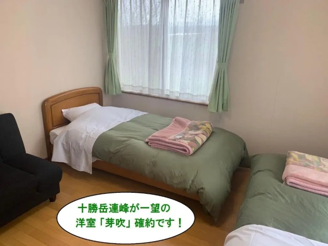 Standard Twin room with mountain view