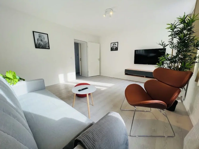 1 Bedroom Suite