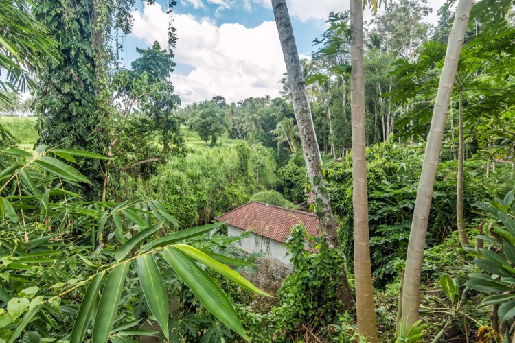 ZEN Rooms Ubud Mas