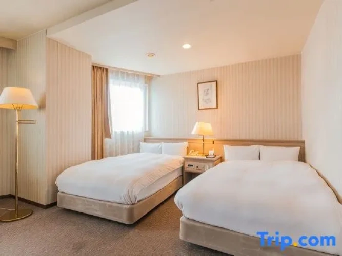 Standard Twin room with city view