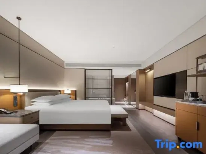 Deluxe Double room with city view