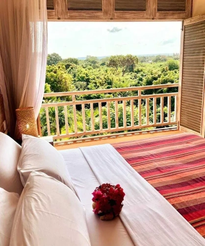 Superior Double room with park view