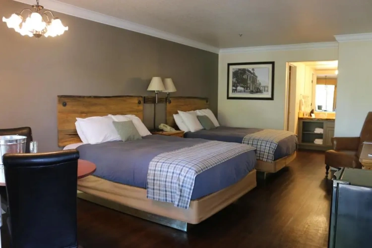 Superior Quadruple Basement room