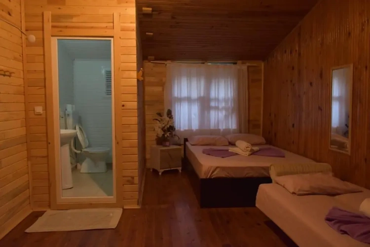 Standard Quadruple room with garden view