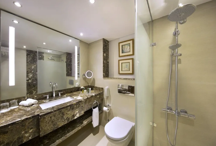 Luxury Double Studio with garden view