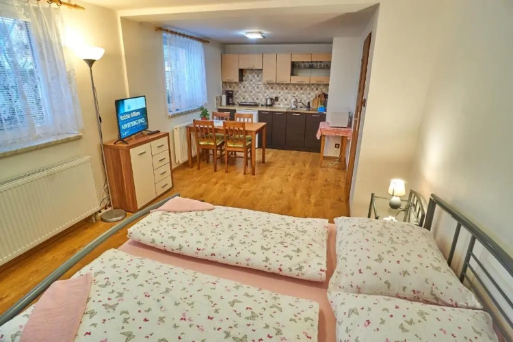 Basement Apartment