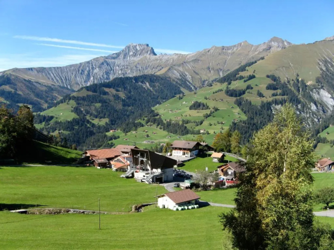 Chalet Weidli