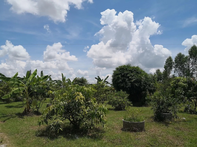Phutara Resort