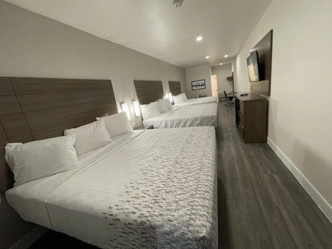 Standard Family room