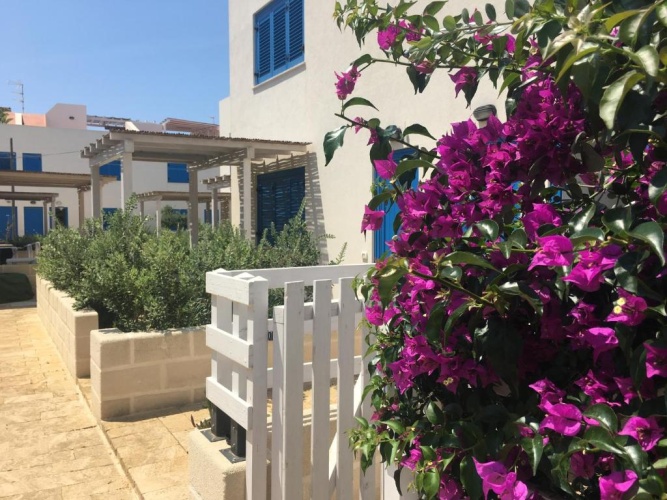 Apartment with garden view