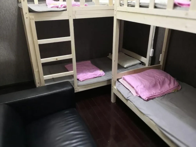 Best Cat Hostel
