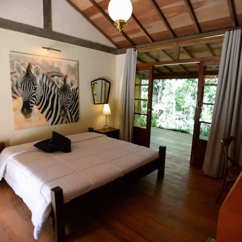 1 Bedroom Deluxe Suite