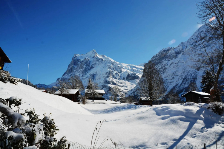 Apartment Grindelwaldgletscher - Griwarent Ag