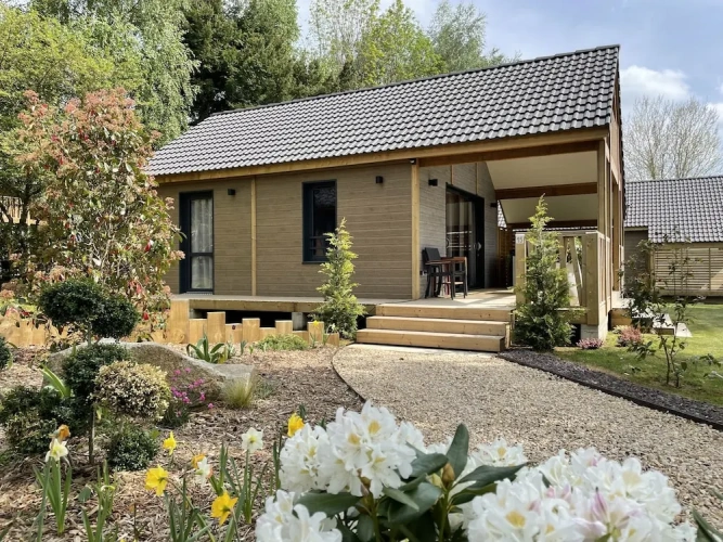 Comfort Double Suite with garden view