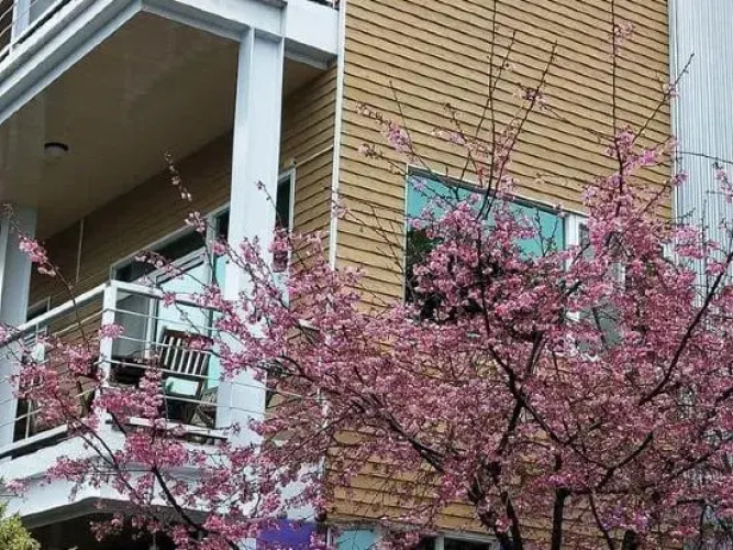 E-Moh Hostel