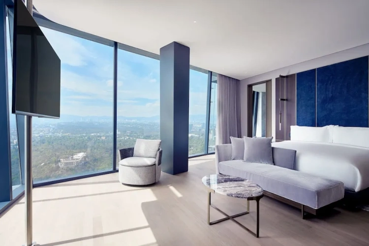 Executive Double Suite with city view
