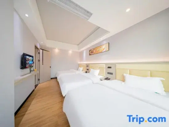 Triple Suite
