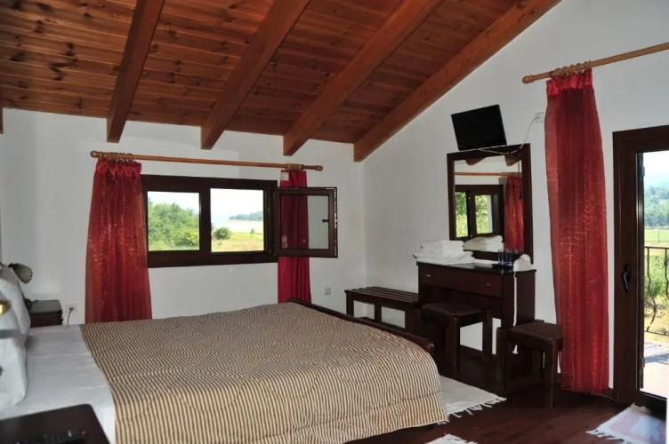 Standard Double room with balcony and with mountain view