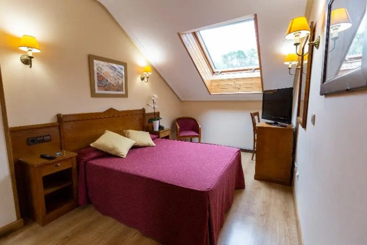 Standard Double Penthouse room