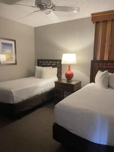 Standard Suite