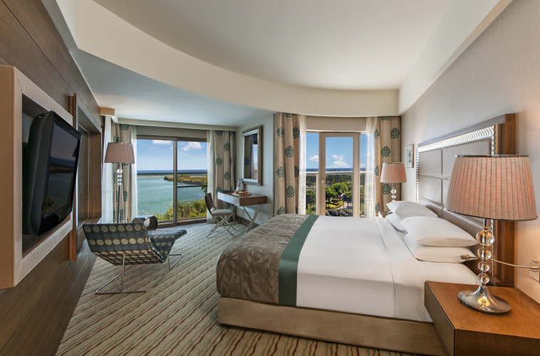 Corner Swim Up Double Suite with sea view