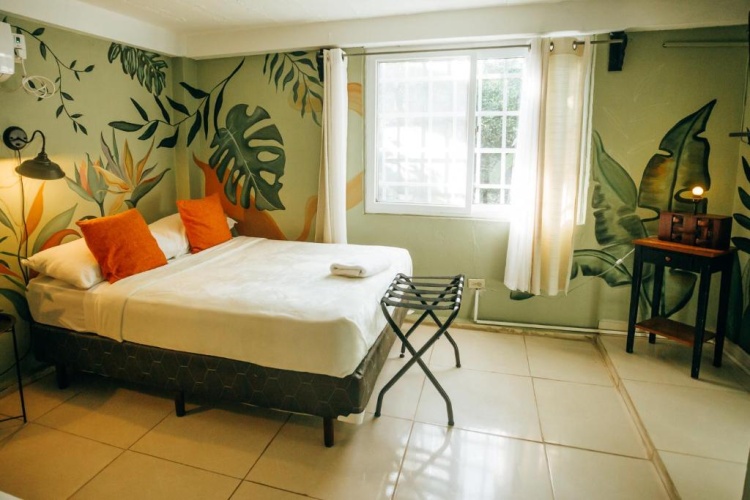 Standard Double room with garden view