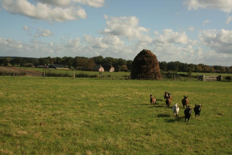 Outside