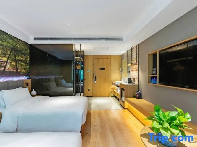 Standard Double Family room