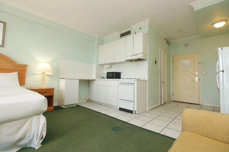 1 Bedroom Apartment