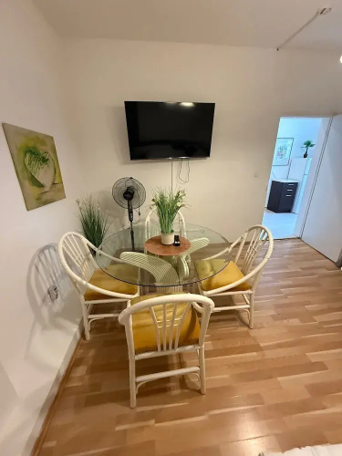Cozy 1BR Apt with LR Vienna Location