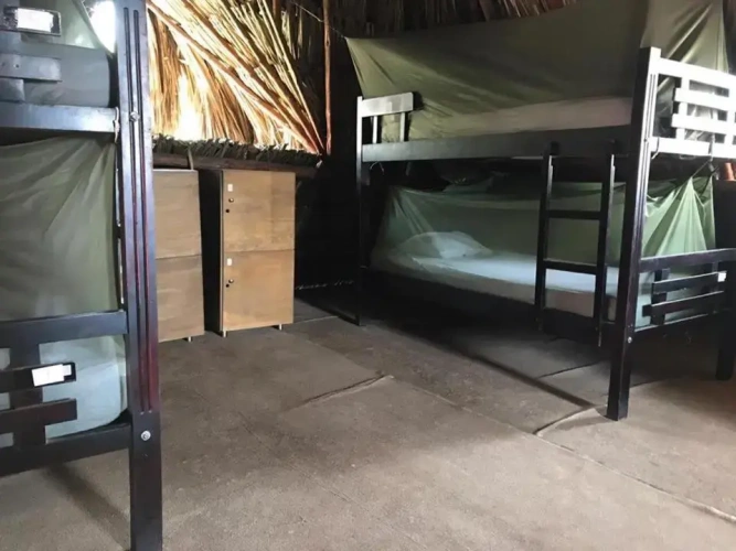 Bed in Dorm