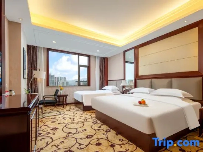 Comfort Double room with city view