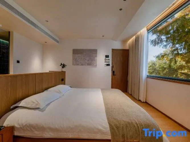 Standard Double room with view