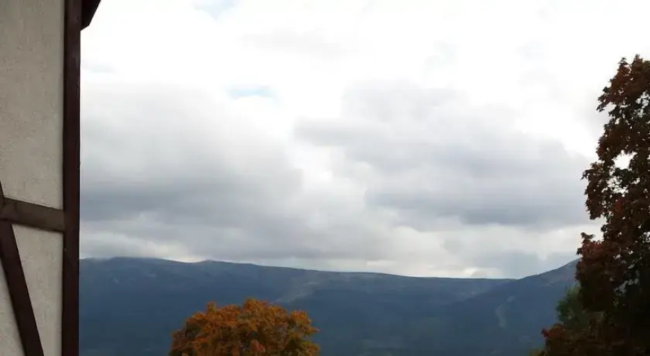 Morelowy