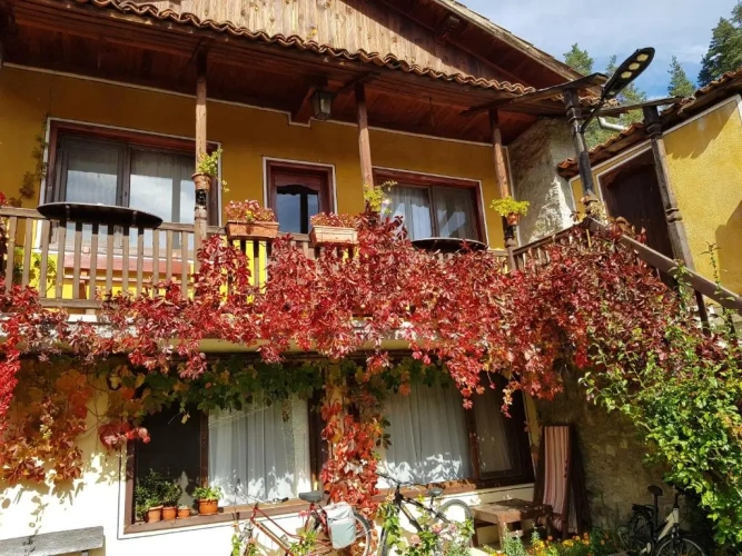 1 Bedroom Suite with balcony