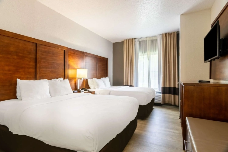 Quadruple Suite
