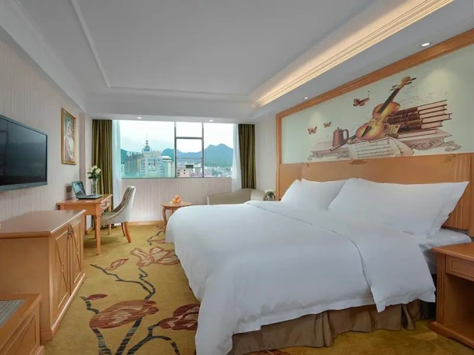 Deluxe Twin Family room