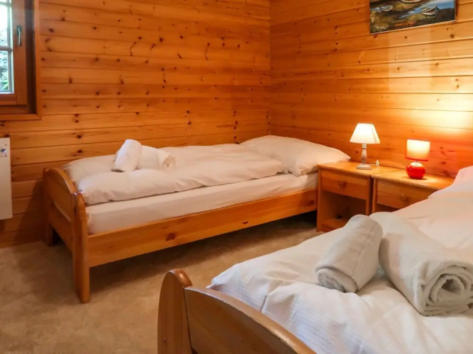 Arnica Nendaz in Nendaz