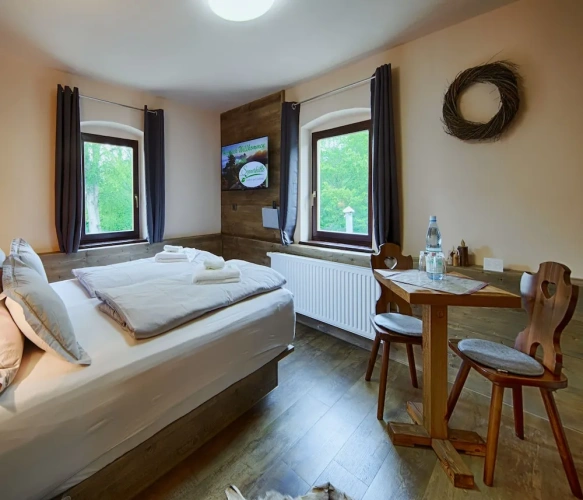 Standard Double room
