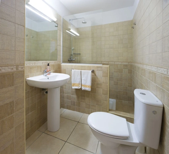 1 Bedroom Standard Apartment