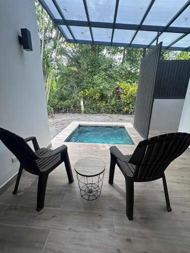 Palmera Azul