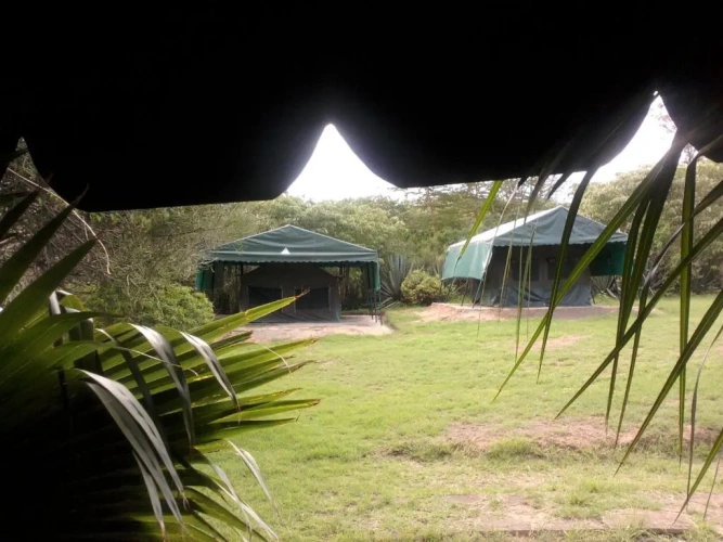 Tent