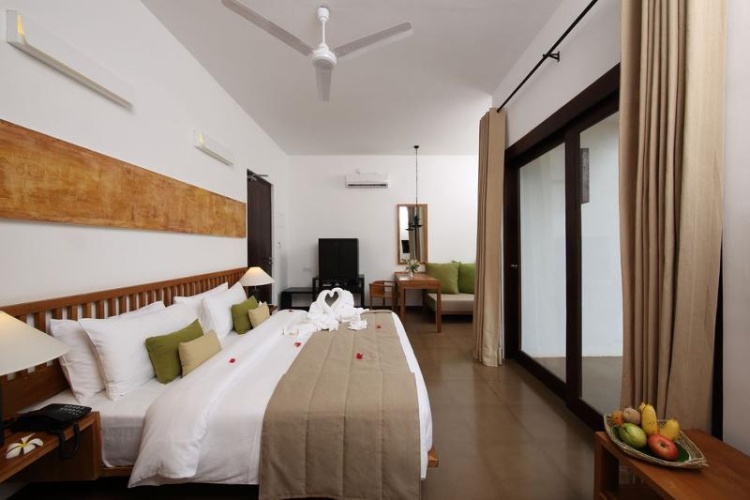 Standard Single room