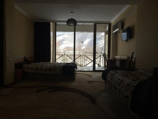 Deluxe Family room with balcony and with view