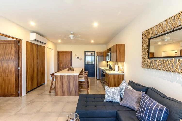 Agaves 204
