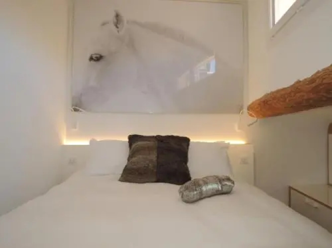Beautiful & Confortable Apartment