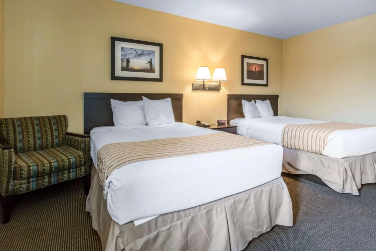 Quadruple Suite