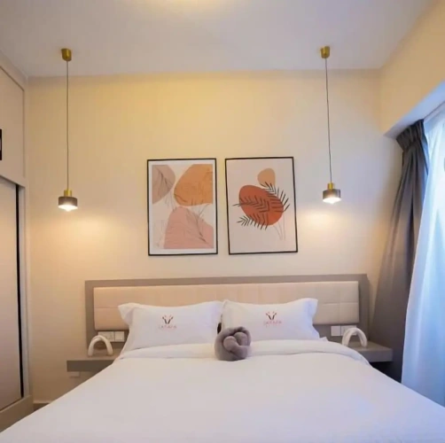 Comfort Suite