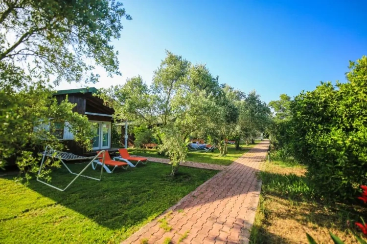 Family Bungalow